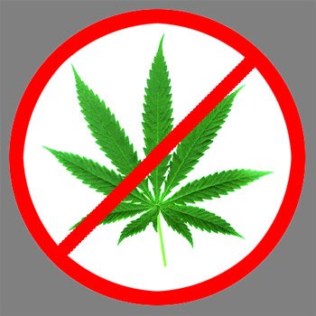marijuana-banned