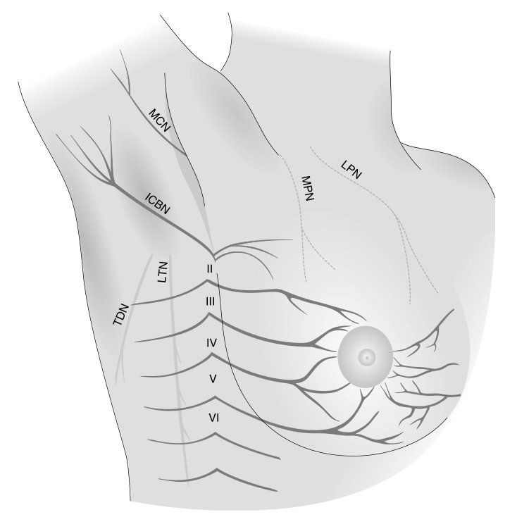 Intercostobrachial Neuralgia Armpit Nerve Pain Dr Jason Attaman